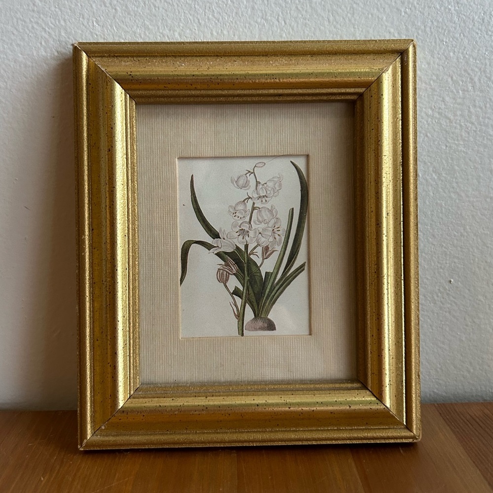 Small Vintage Gold Framed Botanical Art Print